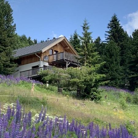 Chalet Claassen تراشر هوهه المظهر الخارجي الصورة